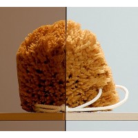 Душові двері в нішу Radaway Almatea DWJ 100 ліві, коричневе (31202-01-08N)