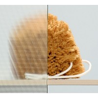 Душові двері в нішу Radaway Treviso DW 100 (32323-01-06N)