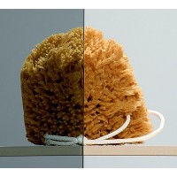 Душова кабіна Radaway Torrenta KDD 80 ліва x 80 права (32262-01-05N)