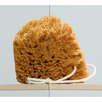 Душова кабіна Radaway Premium Plus D 90х100 (30436-01-01N)