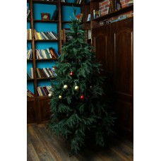 Ялинка лита карпатська преміум 250 см ТМ Елки Украина Ялинка лита карпатська преміум 250 см ТМ Елки Украина