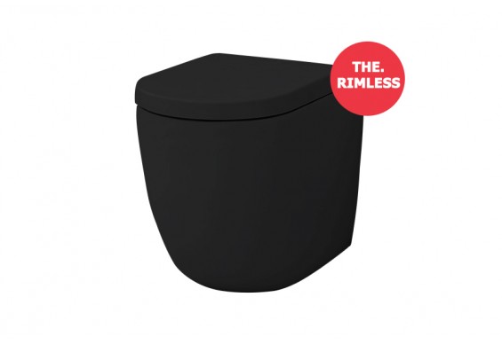 Підлоговий унітаз ArtCeram File 2.0 THE.RIMLESS, glossy black (FLV0050300)